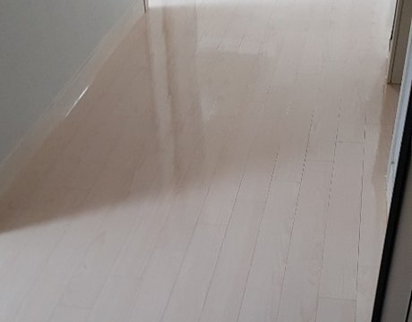 송산세영리첼